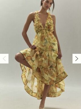 BHLDN Aura Sleeveless Halter Plunge 3D floral organza maxi dress (missing flower